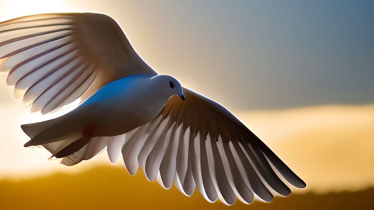 What Does The Dove Symbolize It s Much More Than Just Peace And Love 